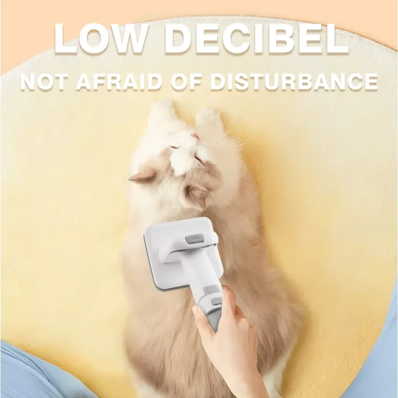 for DSP Professional Pet Groom - Grooming Kit 评论和价格